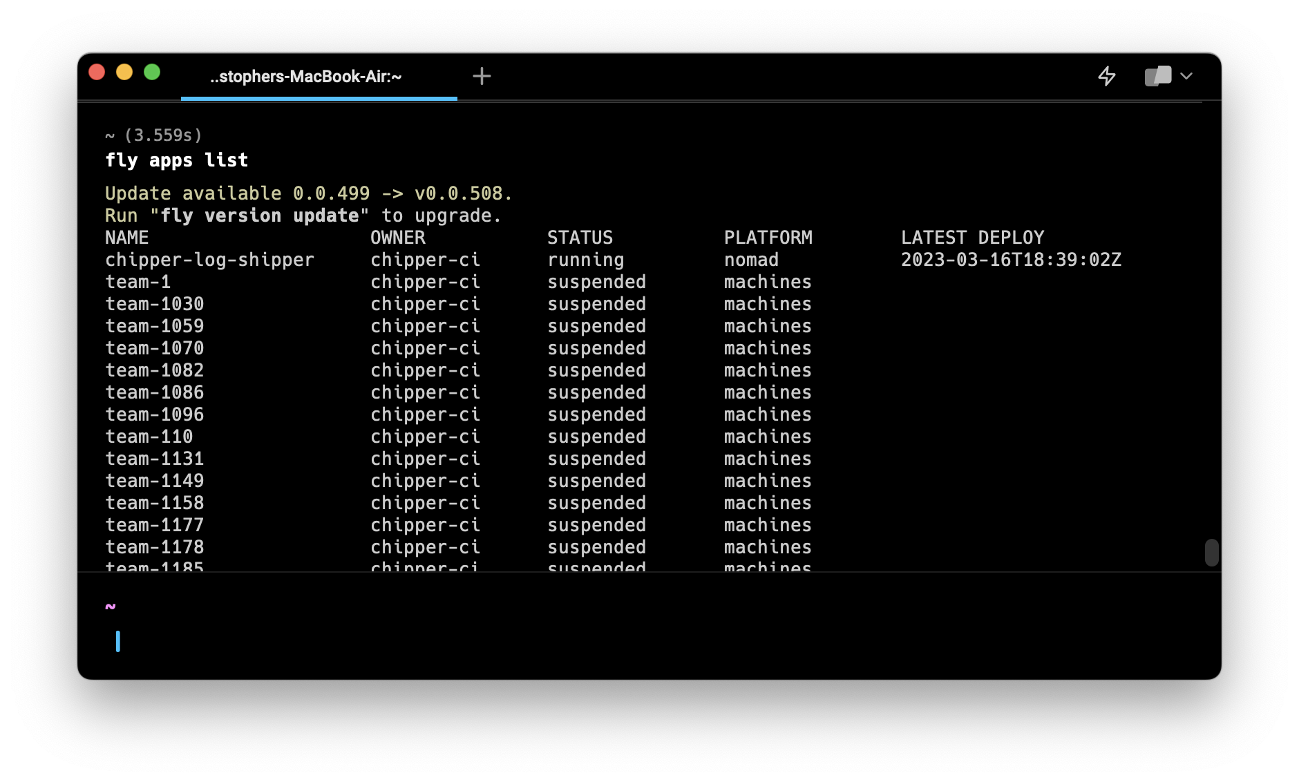 flyctl output showing information message and json output