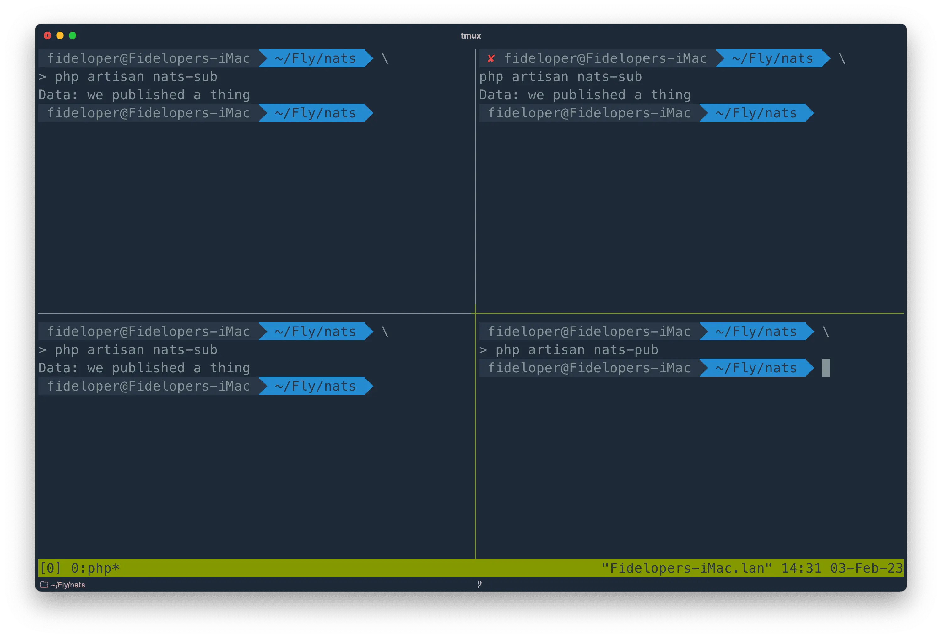 nats in Laravel